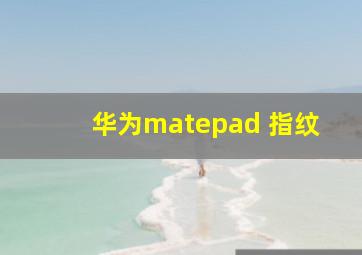 华为matepad 指纹